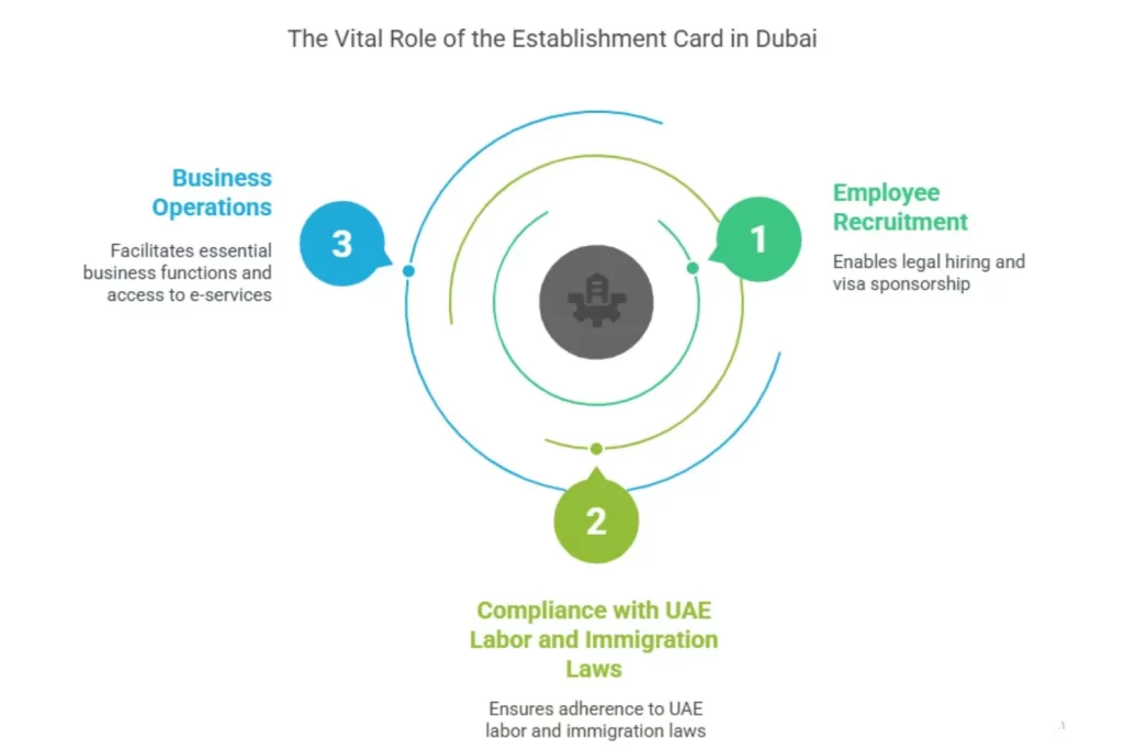 Why is the Establishment Card Crucial for Dubai Business