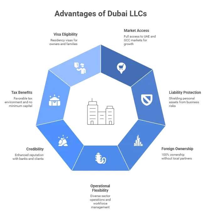 Why Choose an LLC in Dubai_ - visual selection